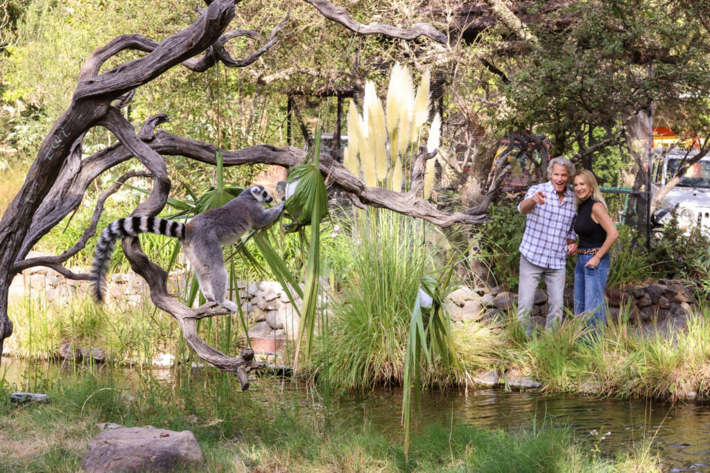 Enrichment Tour - Providing enrichment item to animal