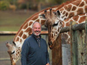 Peter Lang with Giraffes