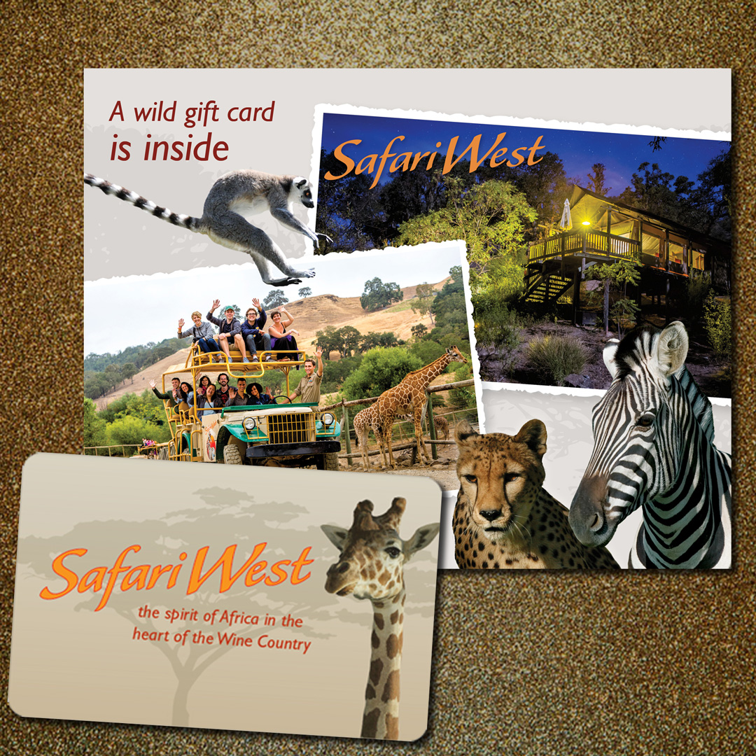 san diego safari park gift card