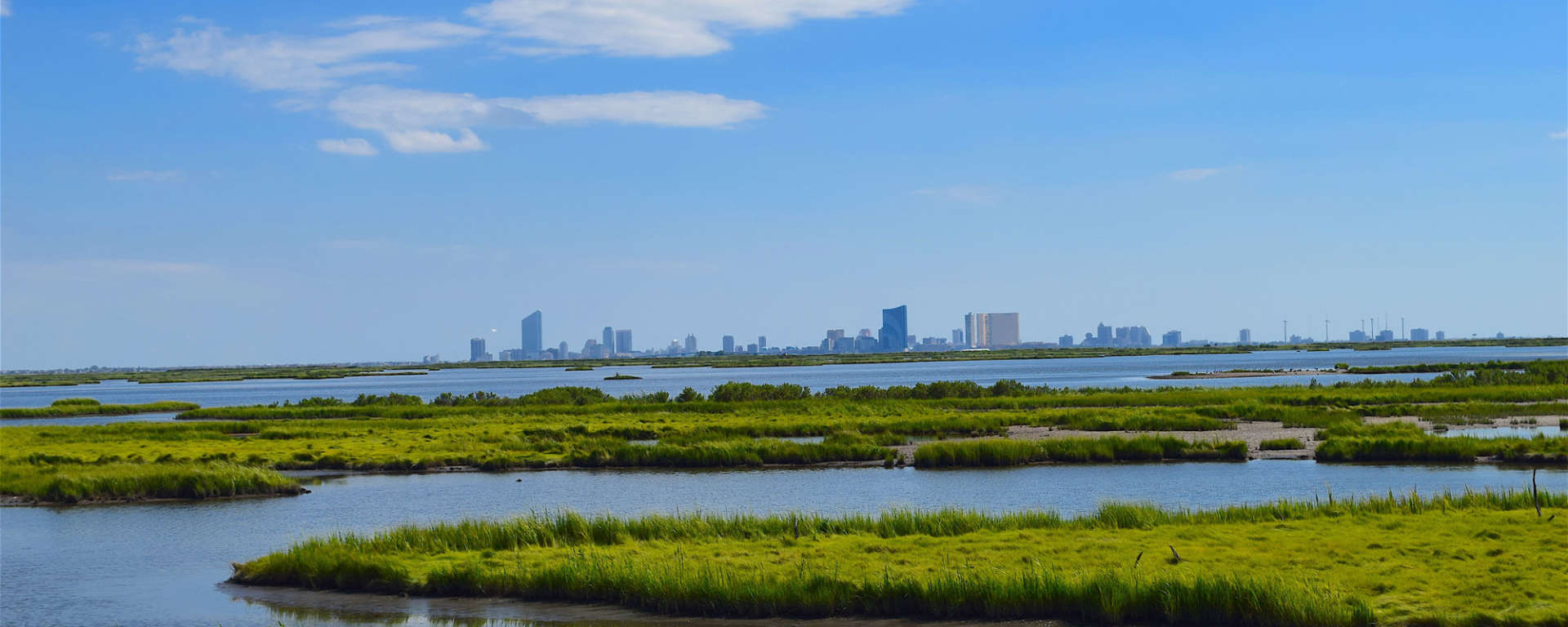 Marshlands for Restore the Delta