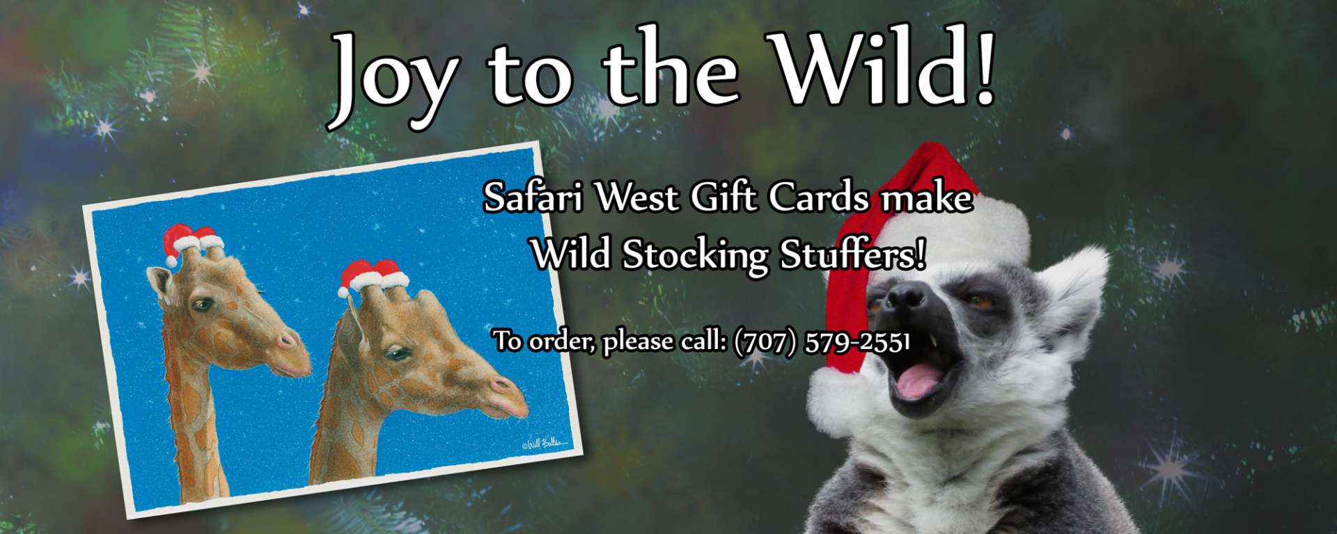 Wild Gift Cards
